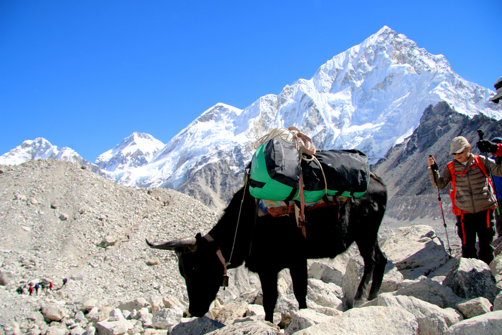 Everest Three Pass Trek in Nepal