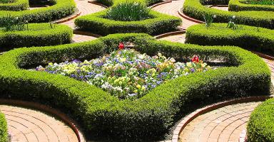 Hire a Top-Notch Landscape Designer | MASARA
