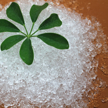 Get the best hydrogel price in India