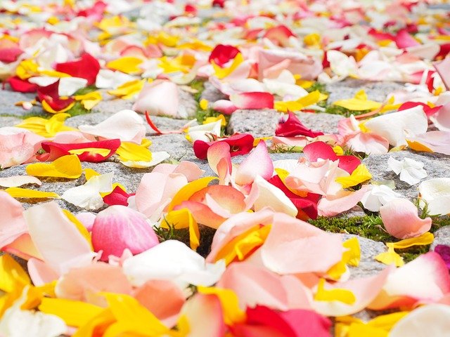event management companies in patna | wedding planner in patna | 7