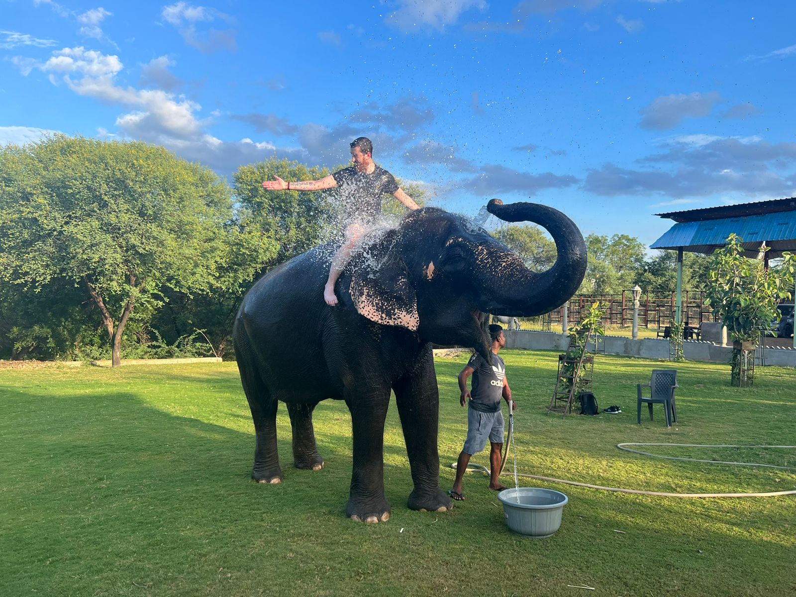 Best Elephant Sanctuary & Rides Jaipur. Ethical Fun!