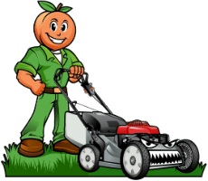 Best Lawn Services Alcovy River Dr, Dacula