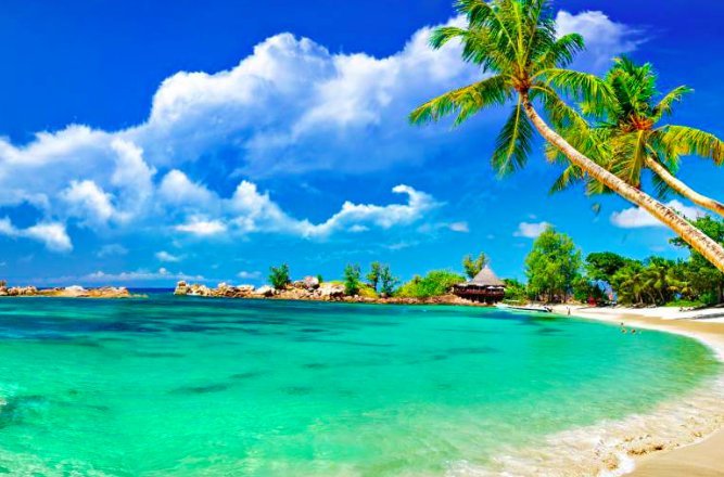 Tour Operator for Lakshadweep