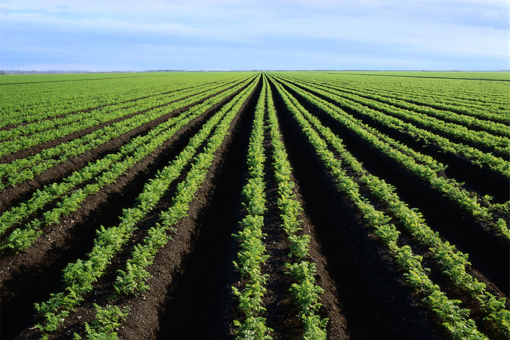 Uses and benefits of Super activated biochar