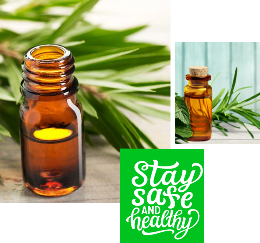 Top Tea Tree Oil Suppliers