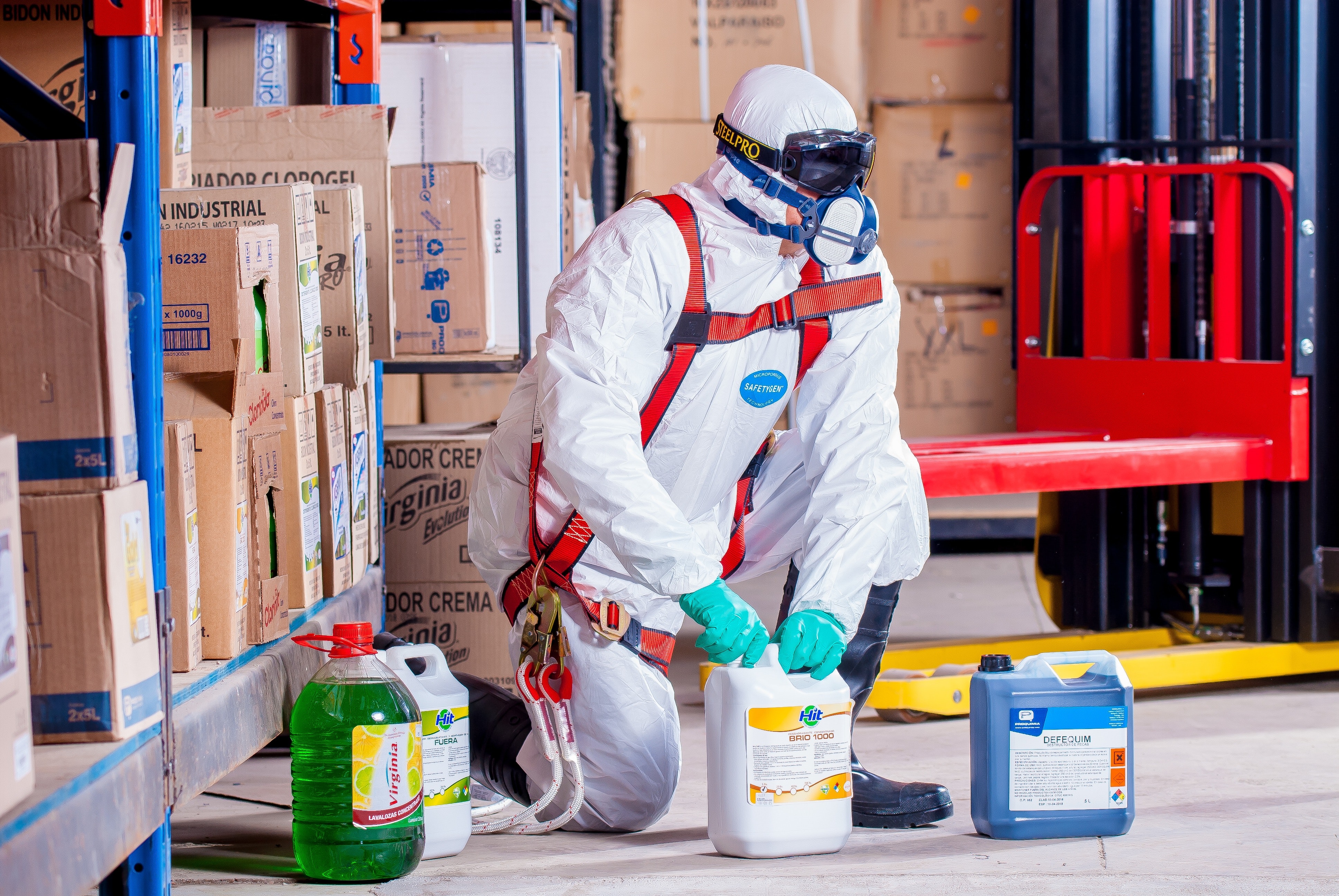 Pest Control Service Provider in Nagpur