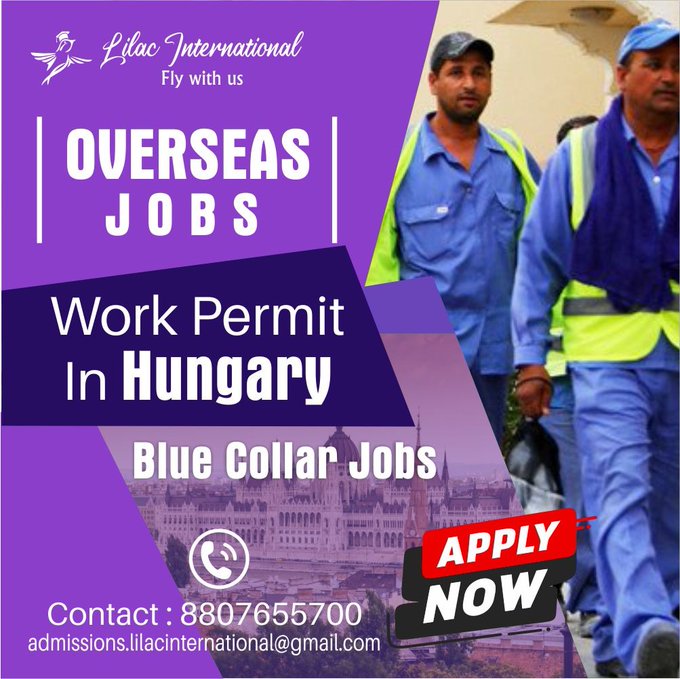 work permit in hungary