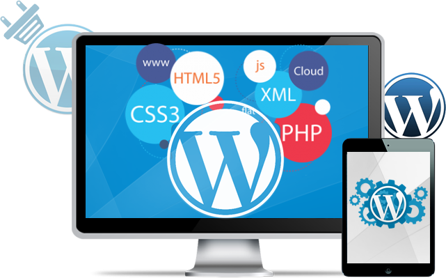 Professional Web Development Services in Bay Area