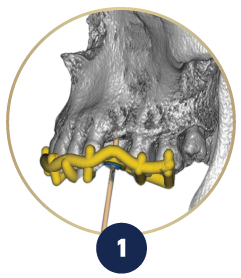 Dentist Hobart