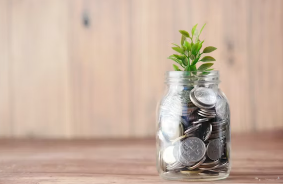 The Future of Finance: Harnessing Rupeezy's Investment Platform