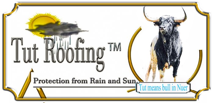 Roofing Service in Perth