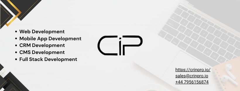 Custom Website Development Cost in 2025