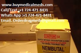 Buy Cheap Nembutal Online No Prescription Whatsapp. +1 724-471-8431
