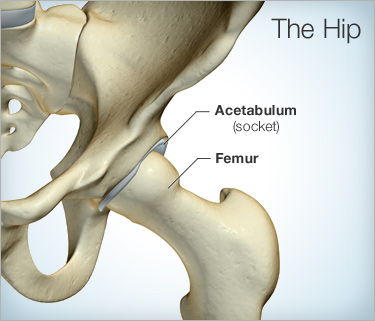 Best doctor for lower back pain in NYC