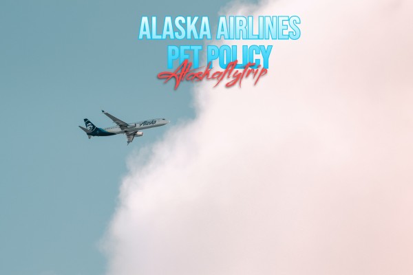 A Guide to Alaska Airlines Pet Policy | Alaskaflytrip