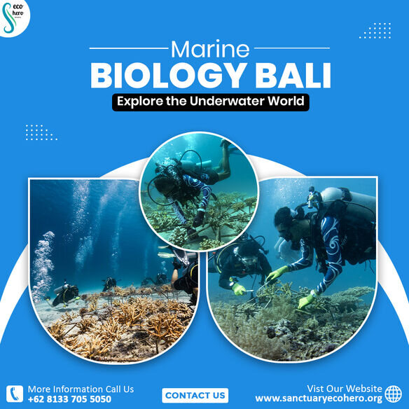 Marine Biology Bali – Explore the Underwater World