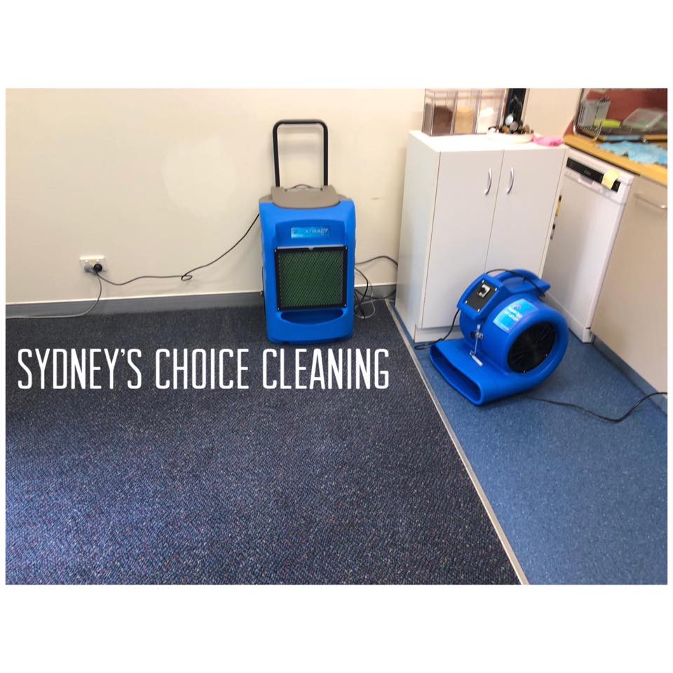 Expert Carpet Cleaning Campbelltown – Restore Freshness to Your Carpets
