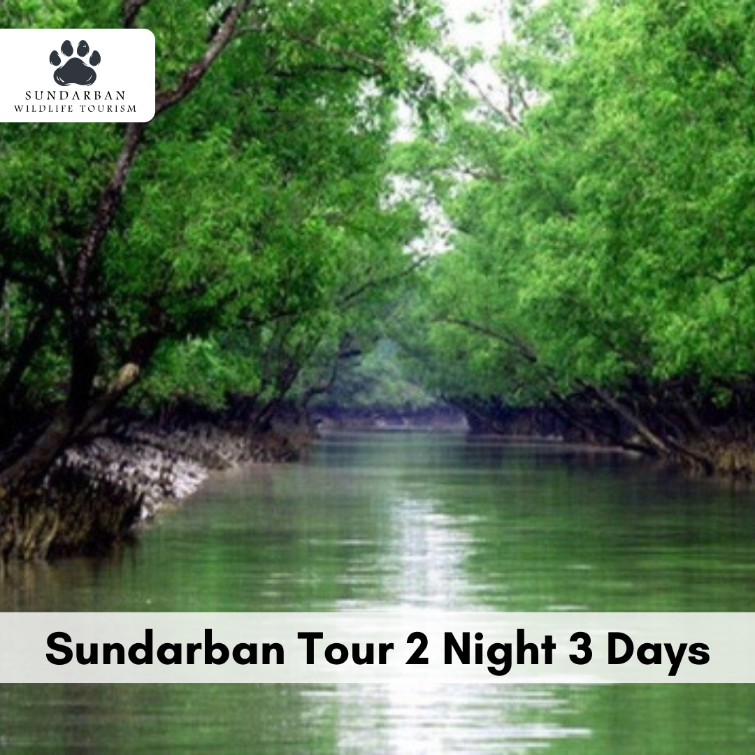 Can I book a 2 nights 3 days Sundarban tour online