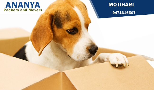 Packers and Movers in Motihari | 9471616507| Ananya packers and movers