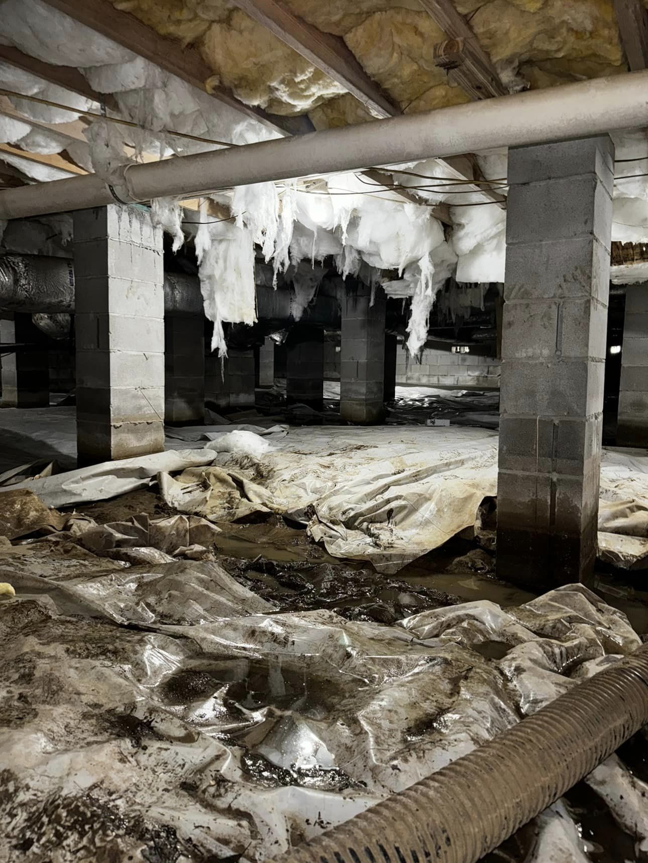 Top 10 Signs You Need Crawl Space Repairs Immediately