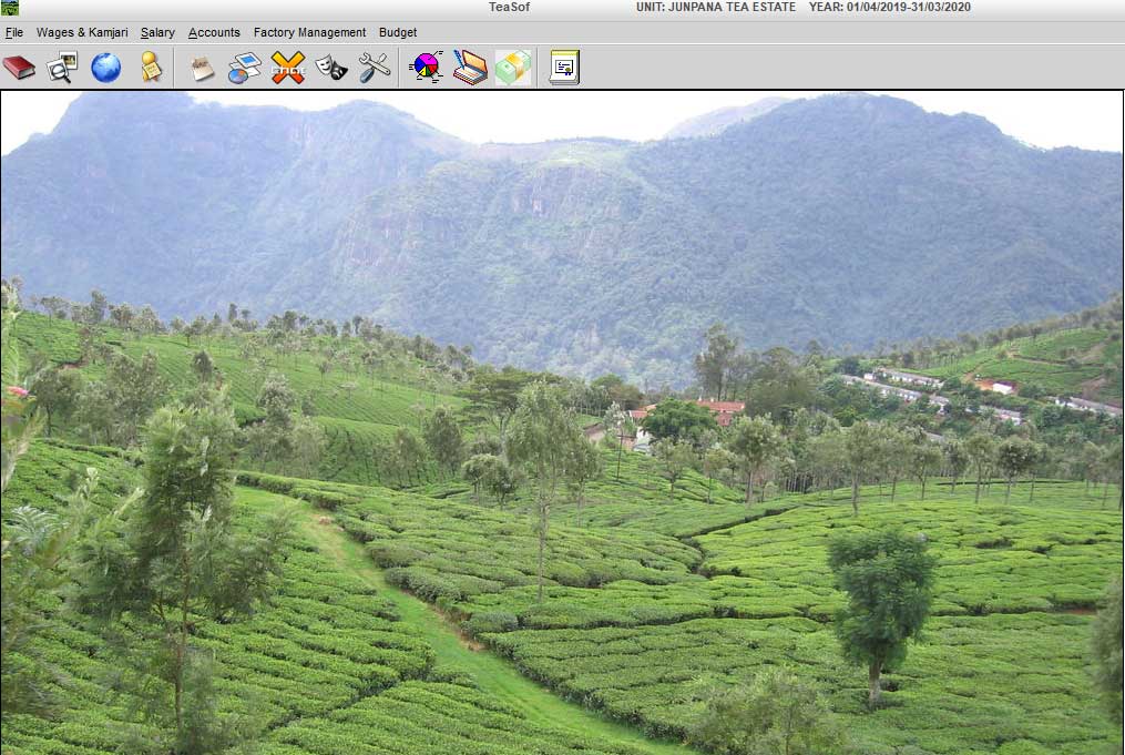 Tea Garden Software, Tea Garden Management system by EBS Software Solution.