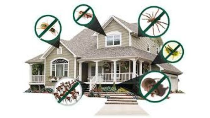 JCS Pest Contol Services in Velachery, Chennai