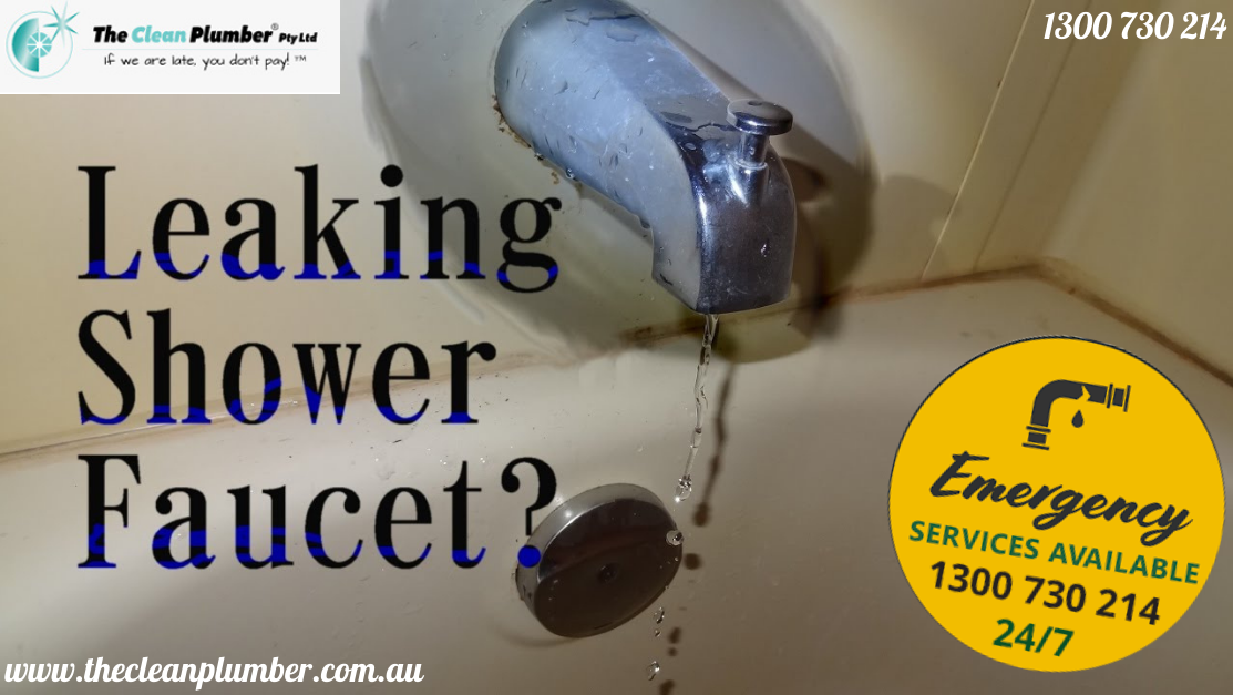How to Fix a Leaking Shower | The Clean Plumber