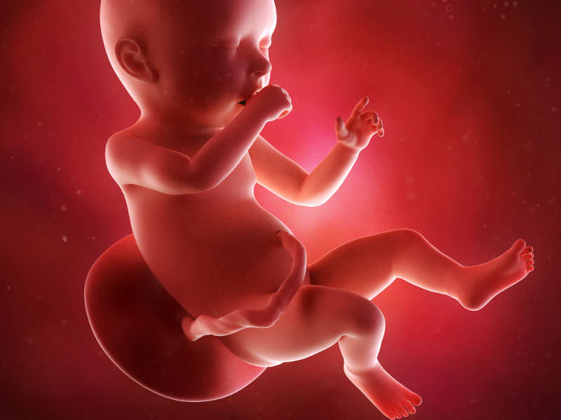 Low IVF Treatment Cost in Kolkata -Vinsfertility