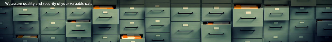 Reliable Online Data Entry Services Company