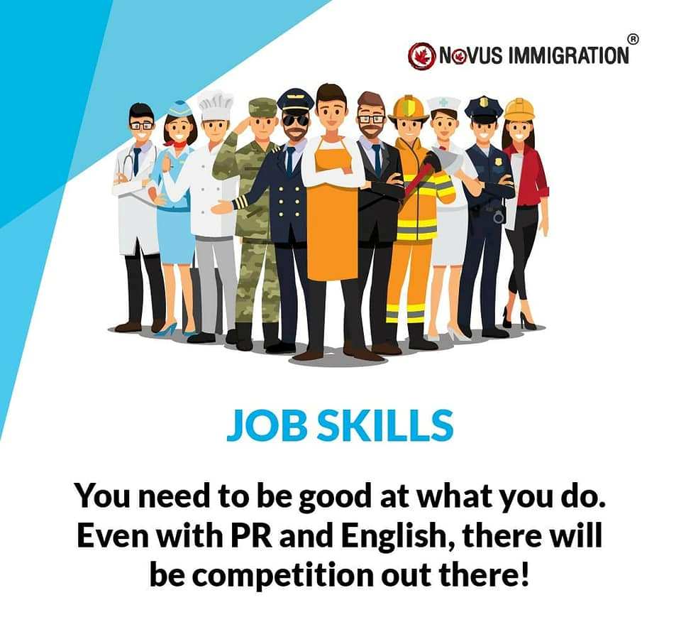 Best Immigration Consultants in Bangalore – novusimmigration.com