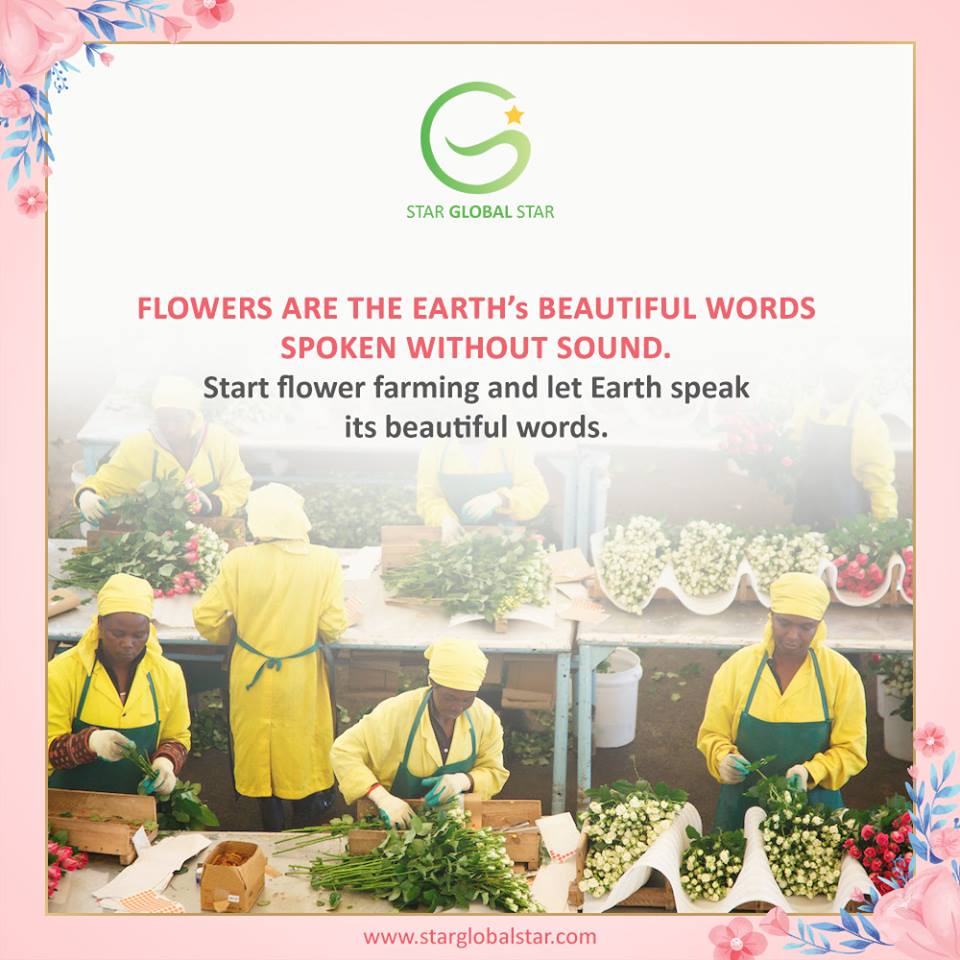 Floriculture Business in India