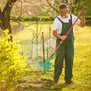 One Of The Top Landscaping And Designing Service Provider
