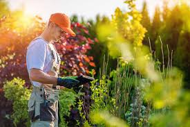 Professional Landscapers in Canada
