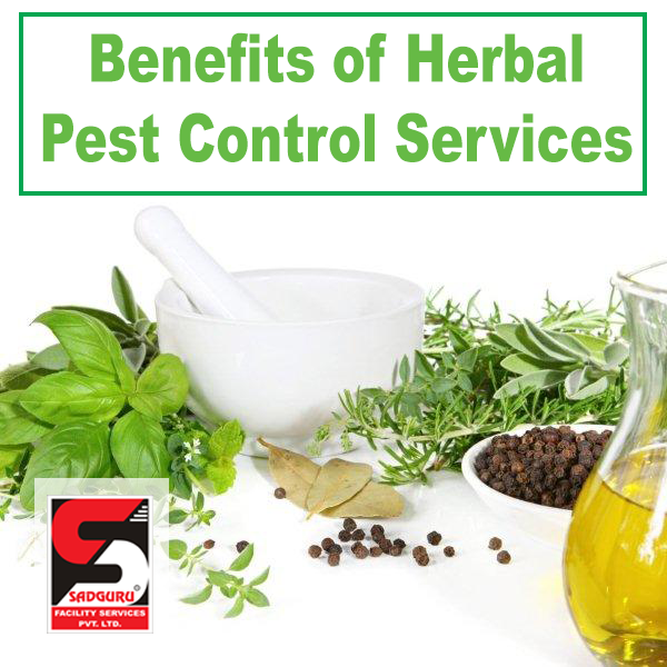 Herbal Pest Control Services in Mumbai - Sadguru Pest Control