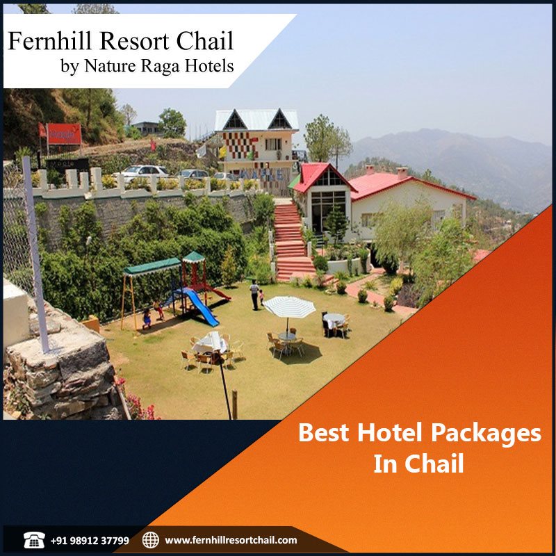 Best Hotel Packages in Chail