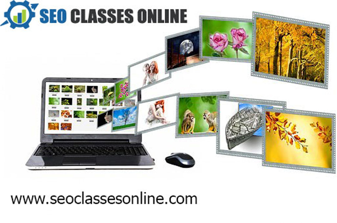 Seo company in Bihar | Seo company in Patna | Best Seo company In Patna | 1