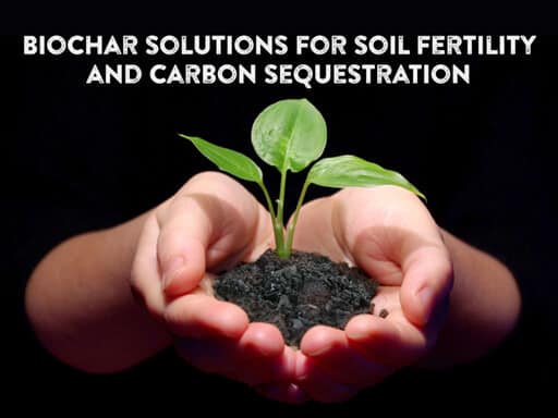 What is biochar?