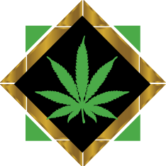 Rio Gold CBD