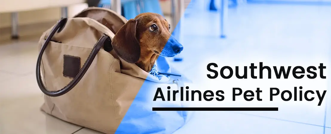 Southwest Airlines Pet Policy