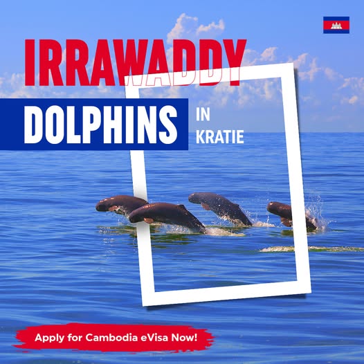 FOR THAILAND CITIZENS - CAMBODIA Easy and Simple Cambodian Visa - Cambodian Visa Application Center
