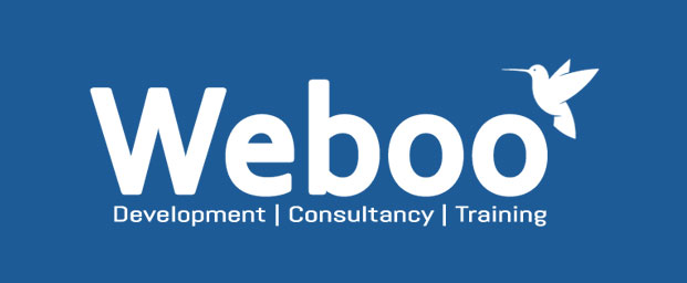 Get Creative and Responsive Business Website at Best Price | Weboo Technology