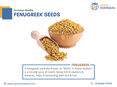 Buy Bulk Fenugreek Seeds From Global Spice Exporter | Vyom Overseas
