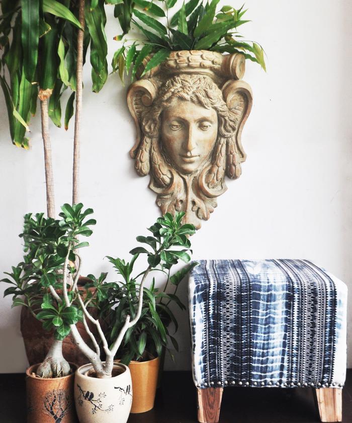 Buy Wall Planters Online In India at Best Prices - Zufolo