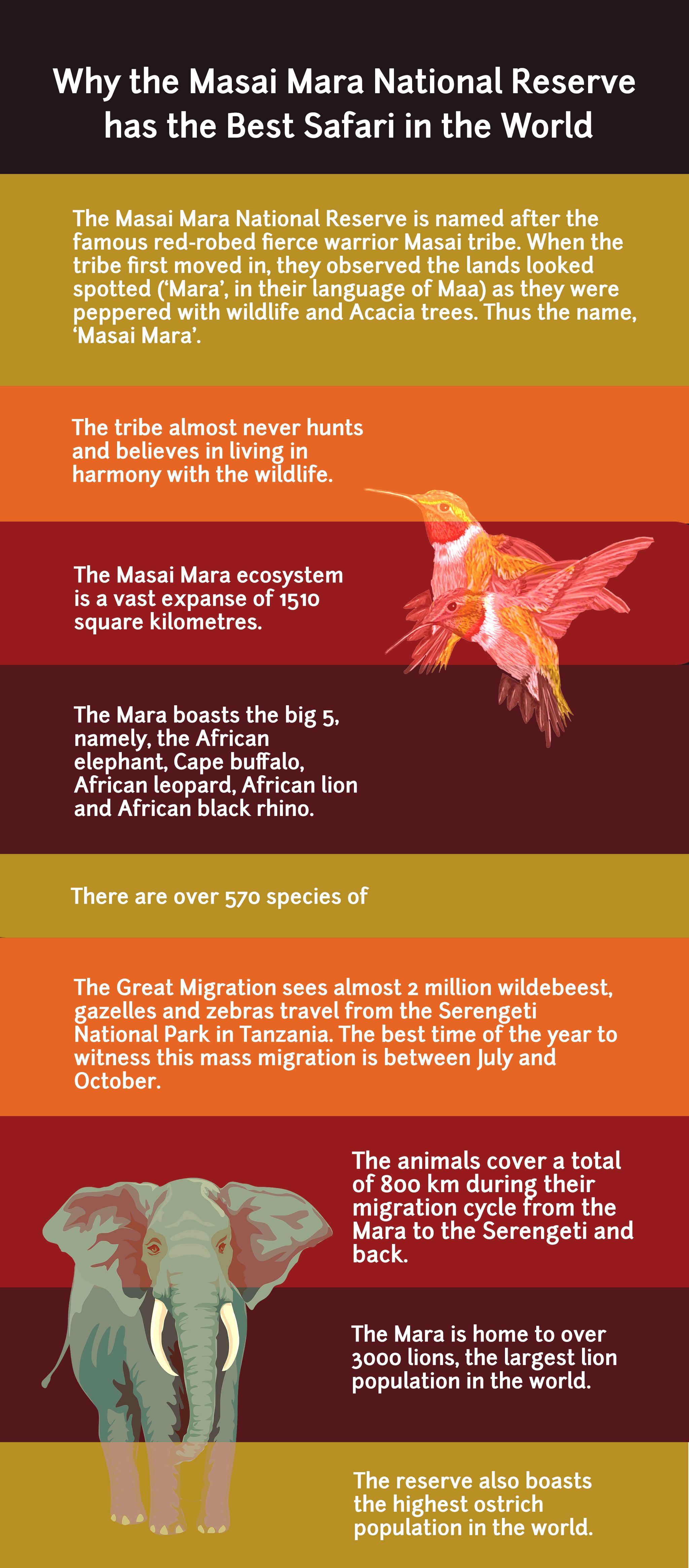 Best Masai Mara Tour Packages in 2019