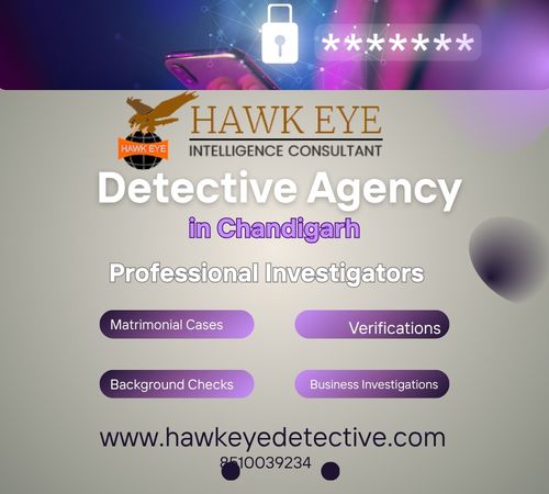 Detective Agency in Chandigarh - Expert Investigating Partner