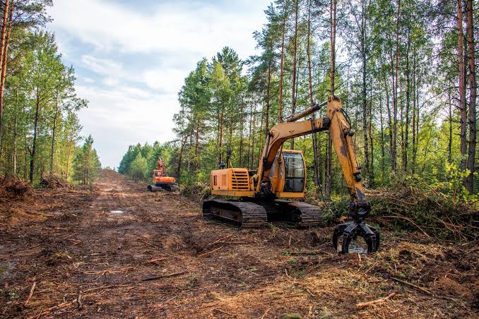 Austin Land Clearing Pros