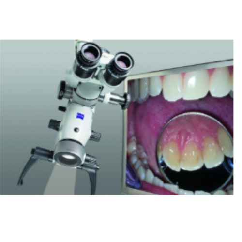 Micro Dentistry
