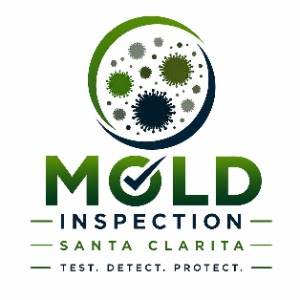 Mold Inspection Santa Clarita