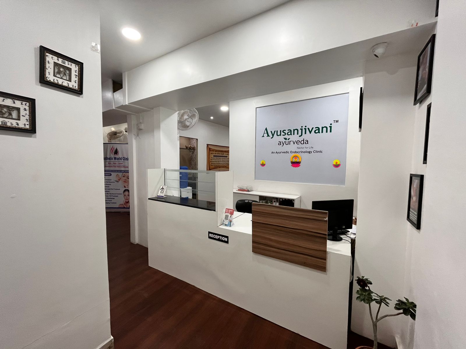 dr phalle"s Ayusanjiani ayurveda clinic and panchkarma centre