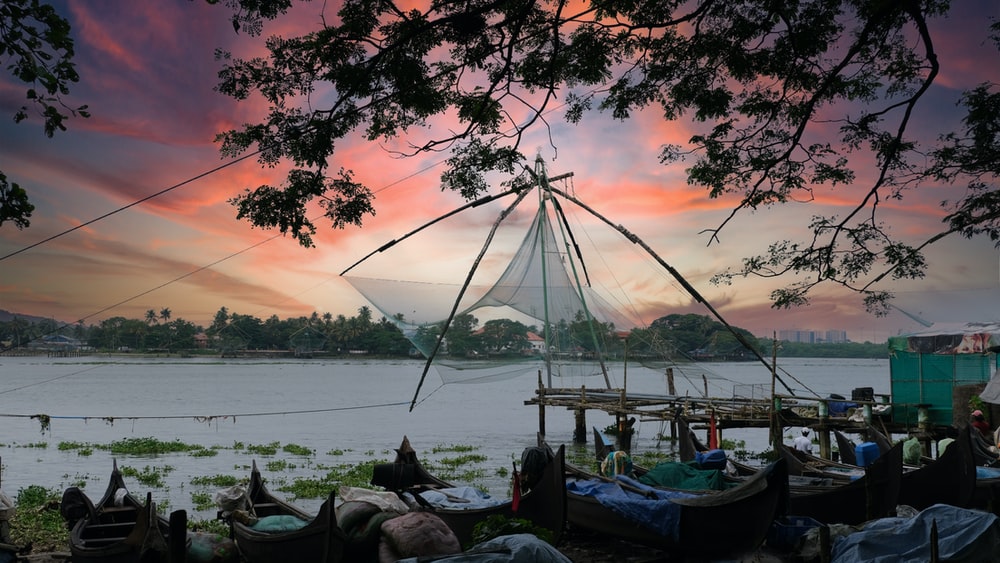Kerala Tour Packages